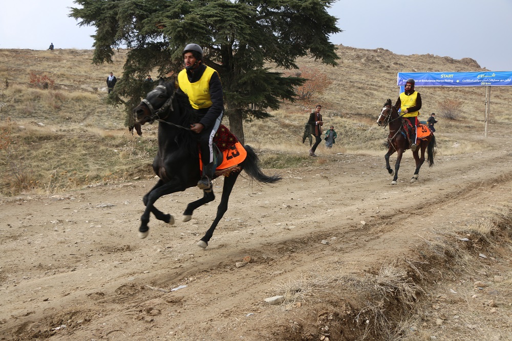 رقابت‌های انتخابی تیم ملی اسب سواری در بخش استقامت به میزبانی پایتخت امروز برگزار شد.