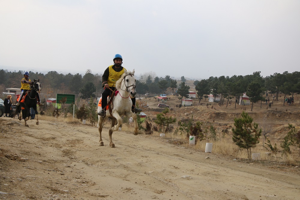 رقابت‌های انتخابی تیم ملی اسب سواری در بخش استقامت به میزبانی پایتخت امروز برگزار شد.