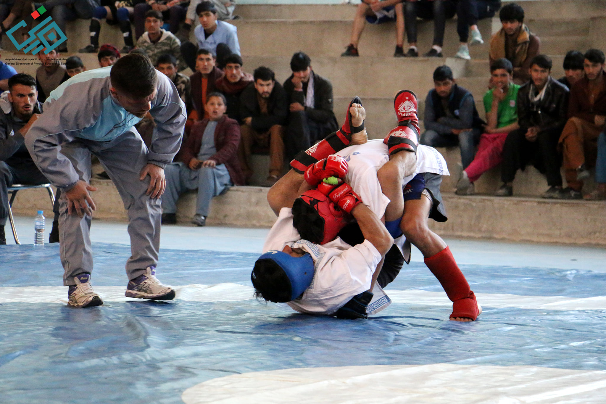 پانکریشن