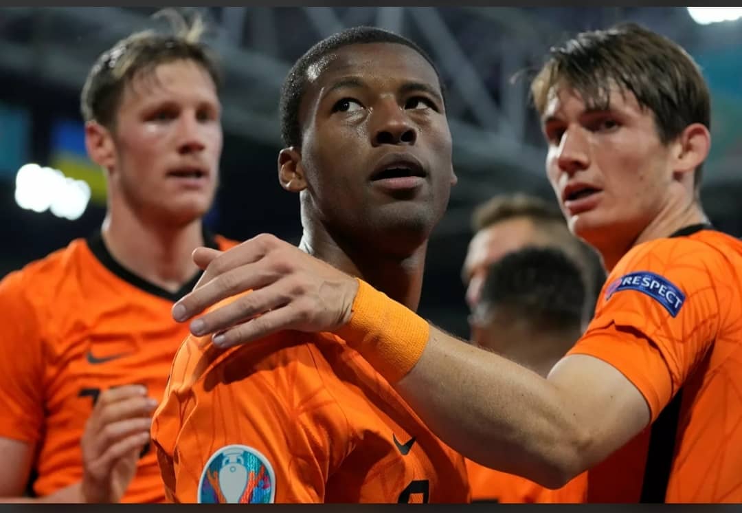 له لوبو څخه د هافبک پی اس جی درۍ اونیز لرېوالی