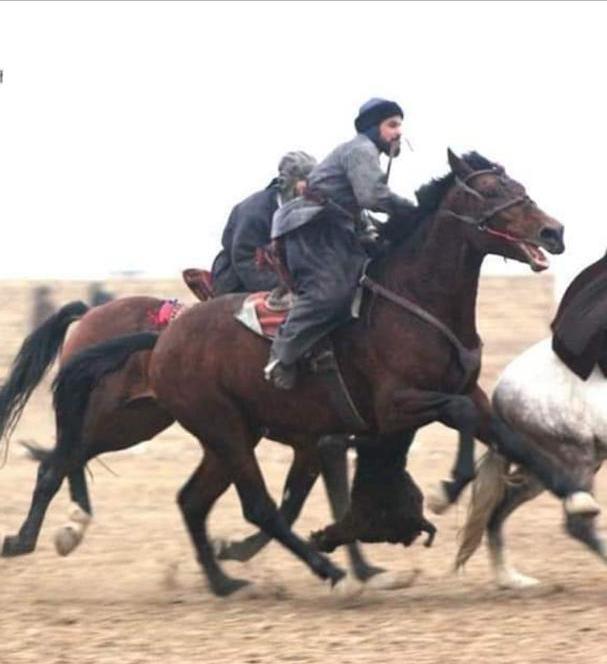 راه اندازی مسابقات بزکشی در ولایت بلخ