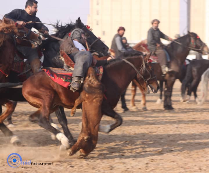 په بلخ ولایت کې د وزلوبې سیالۍ وشوې