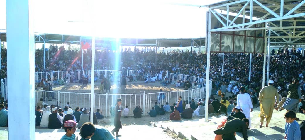 Celebrated of wrestling competitions in Herat province