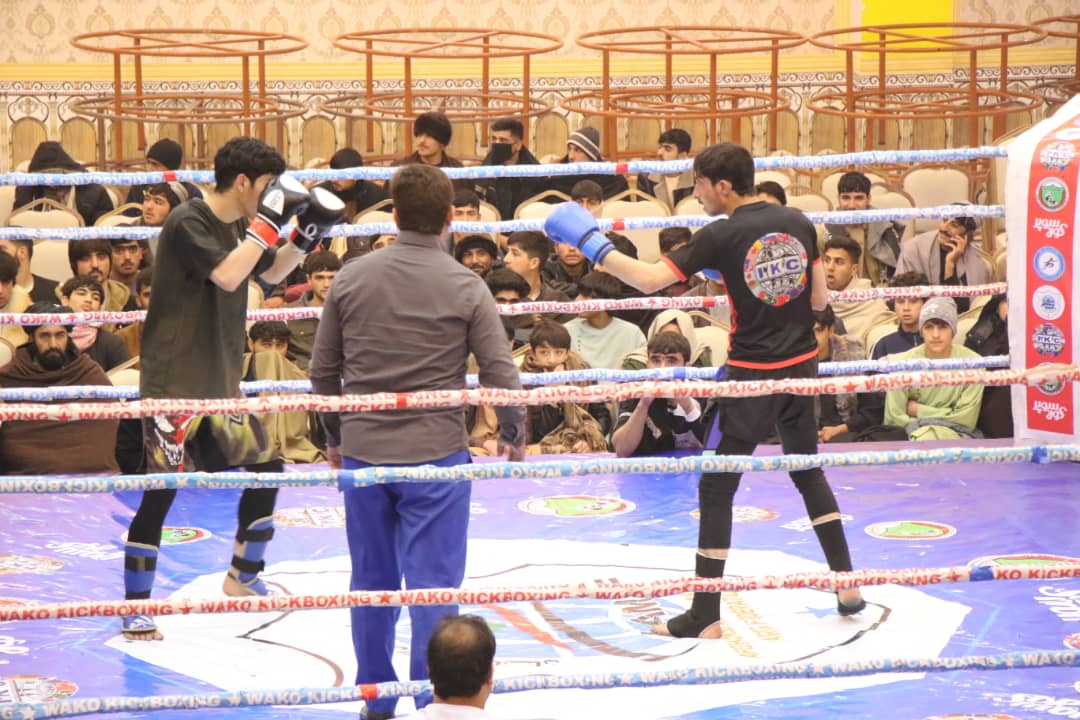 په هرات کې د هېواد په کچه د رزمي ورزشونو د فول کانټاک کیک بوکسنګ او کیک جیتسو برخو سیالۍ وشوې