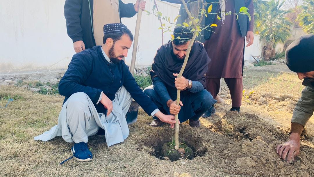 د ننګرهار د بدني روزنې او ورزش ریاست د نیالګیو اېښودلو کمپاین پیل کړ