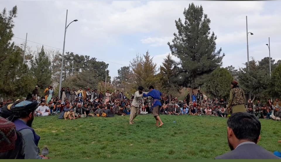 د سمنګان په دره صوف ولسوالۍ کې د کورش سيالۍ ترسره شوې