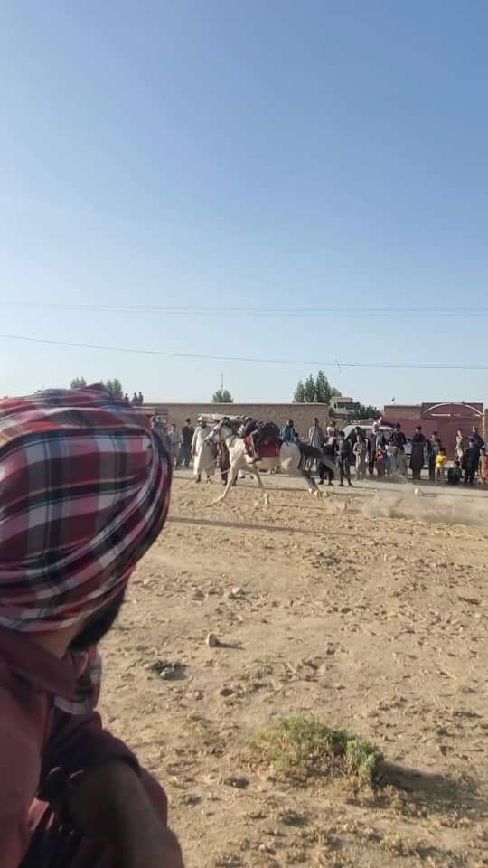 په غزني کې د ٢٢ نېزه وهونکو ترمنځ د نېزه وهنې سيالۍ ترسره شوې