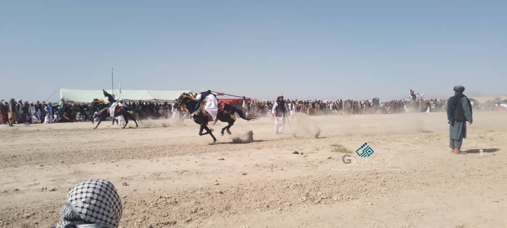 غزنی؛ رقابت‌های نیزه‌زنی با اشتراک ۲۴۰ سوارکار در قالب ۲۰ تیم در ولسوالی اندر این ولایت برگزار شد