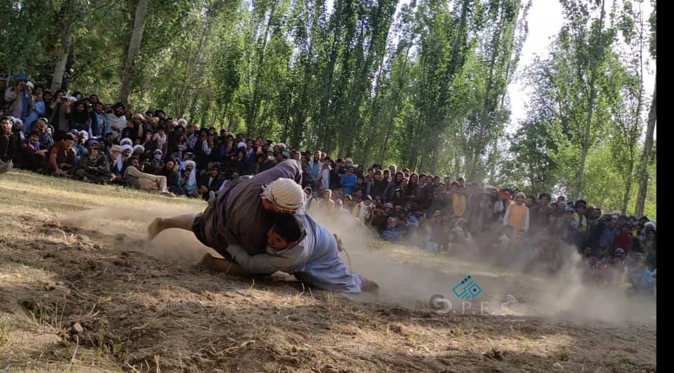 غور؛ رقابت های منتخبه کشتی محلی میان ۵۰ پهلوان در ولسوالی تولک برگزار شد