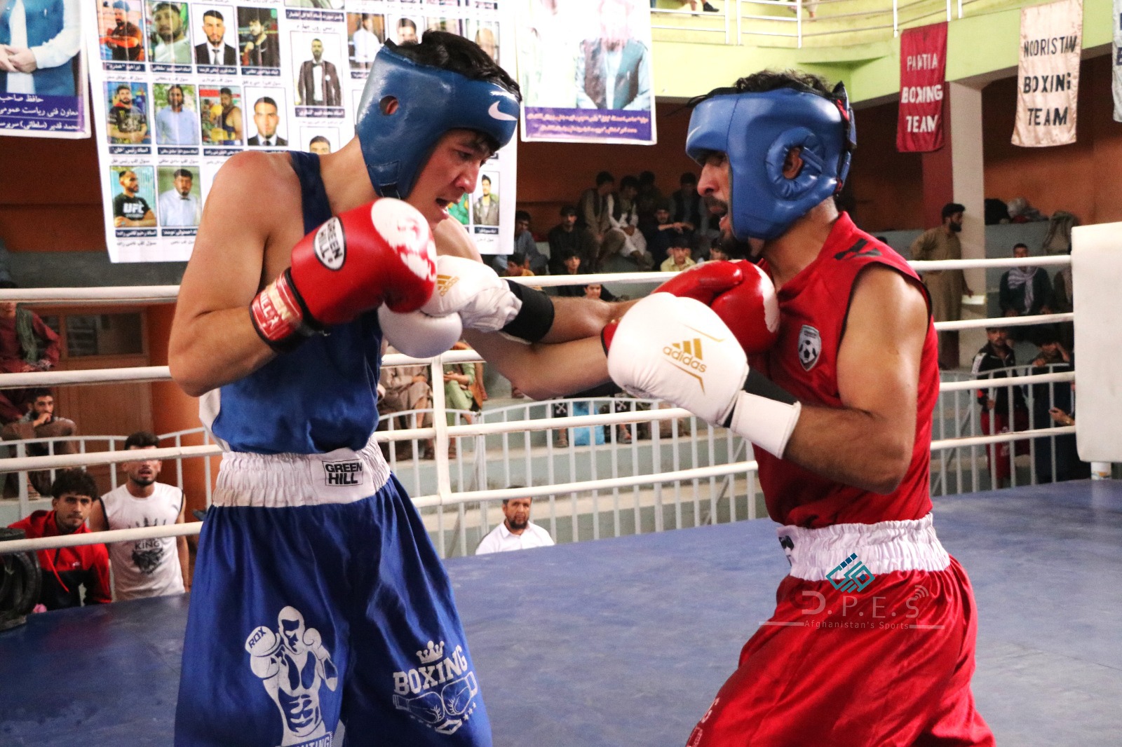 کابل؛ مسابقات منتخبه بکسنگ زون چهارم شهر کابل با اشتراک ۱۲۷ ورزشکار به پایان رسید