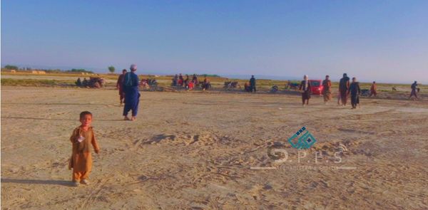 پکتیکا؛ رقابتهای تیپبال کرکت میان ۱۰ تیم در ولسوالی دیله آغاز شد