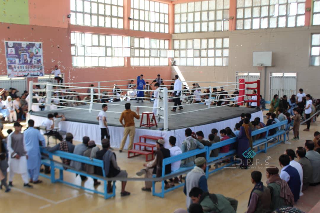 غزنی؛ اولین دور مسابقات انتخابی پانکریشن با اشتراک ۶۰ ورزشکار برگزار گردید