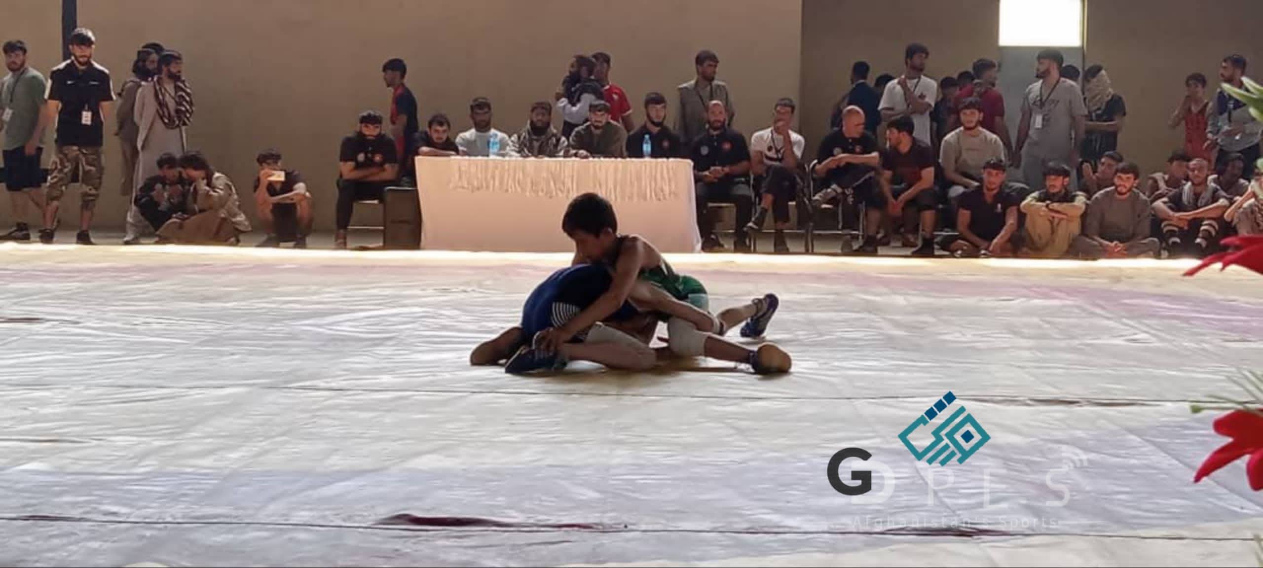 رقابتهای پهلوانی میان ۱۲۰ ورزشکار در ولسوالی بگرام پروان برگزار شد