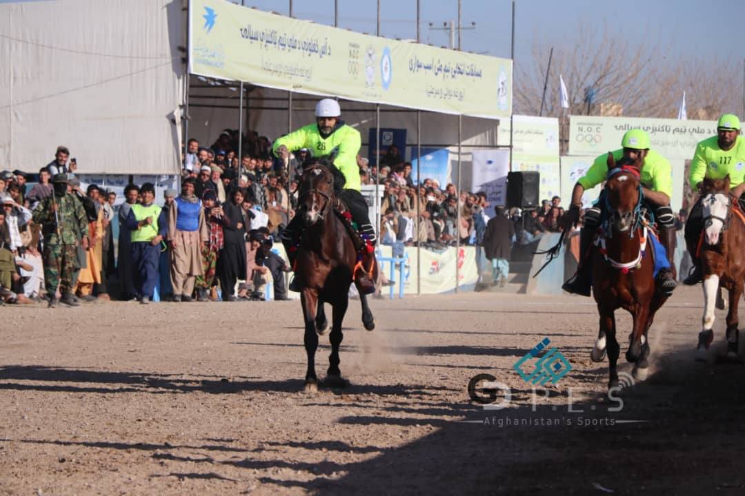 په هرات ولايت کې د اس ځغلونې اووم پړاو ټاکنيزو سياليو دوام