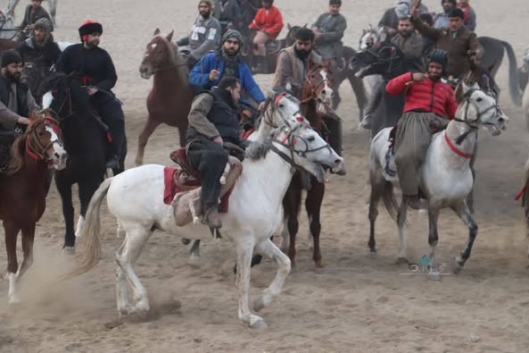 بلخ؛ په دولت اباد ولسوالۍ کې د ۷۶ تنو چاپندازانو ترمنځ د وزلوبې سيالۍ ترسره شوې