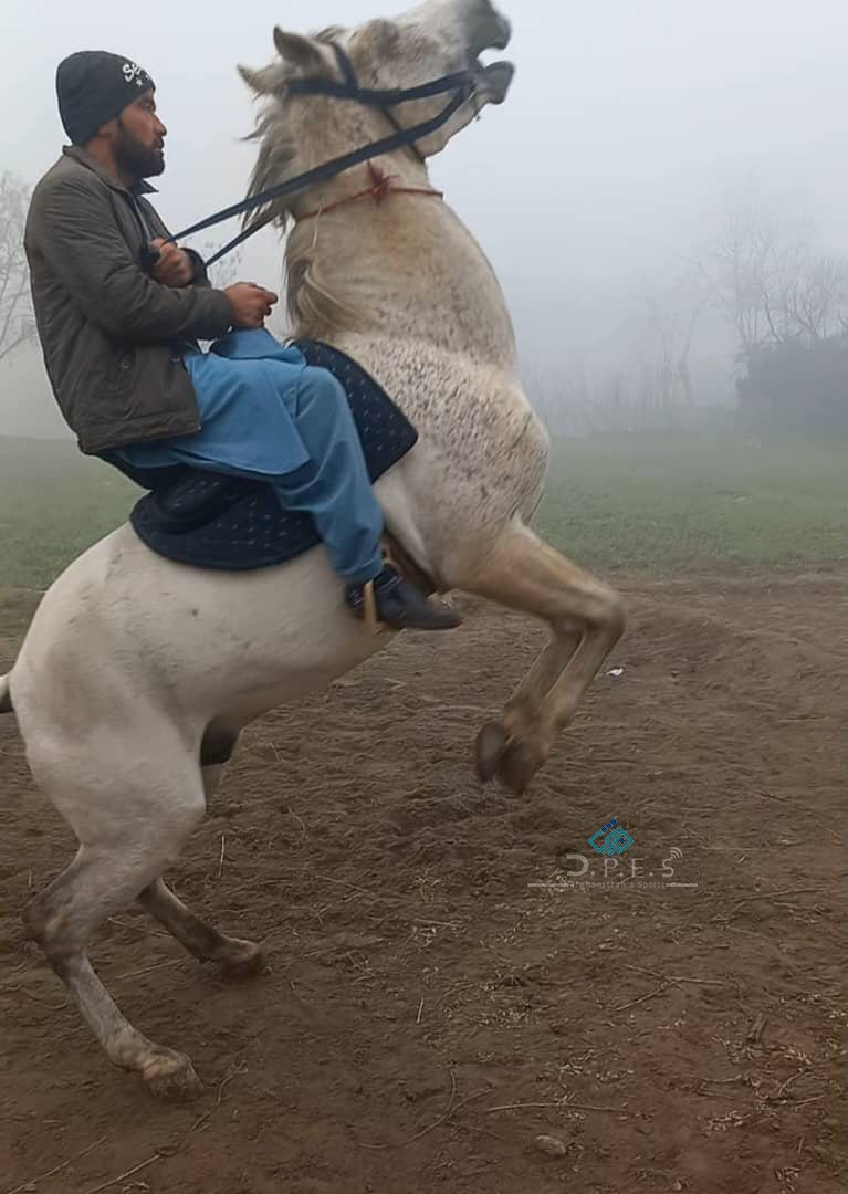 کندوز؛ په امام صاحب ولسوالۍ کې د ۸۰ چاپندزانو ترمنځ د وزلوبې سيالۍ وشوې