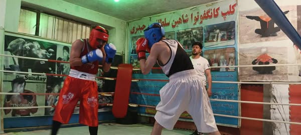 لوګر؛ مرکز پل علم ښار کې د ۶۴ ورزشکارانو ترمنځ د سوک وهنې سیالۍ ترسره شوې