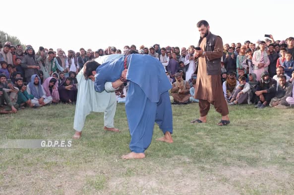 غور؛ دولتيار ولسوالۍ کې د ۵۰ پهلوانانو ترمنځ د سيمه ييزې غېږنيونې سيالۍ ترسره شوې