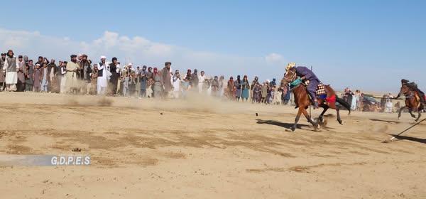 غزنی؛ مسابقات نیزه زنی با اشتراک ۴۸ ورزشکار در ولسوالی اندر برگزار گردید