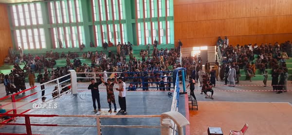 لوگر؛ رقابت‌های ورزش‌های رزمی میان ۱۶۰ ورزشکار در شهر پل علم برگزار شد