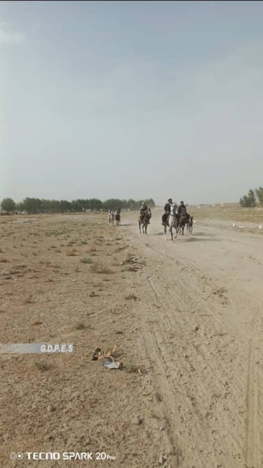 غزنی؛ مسابقات نیزه زنی میان ۴۵ تن در ولسوالی گیرو برگزار شد