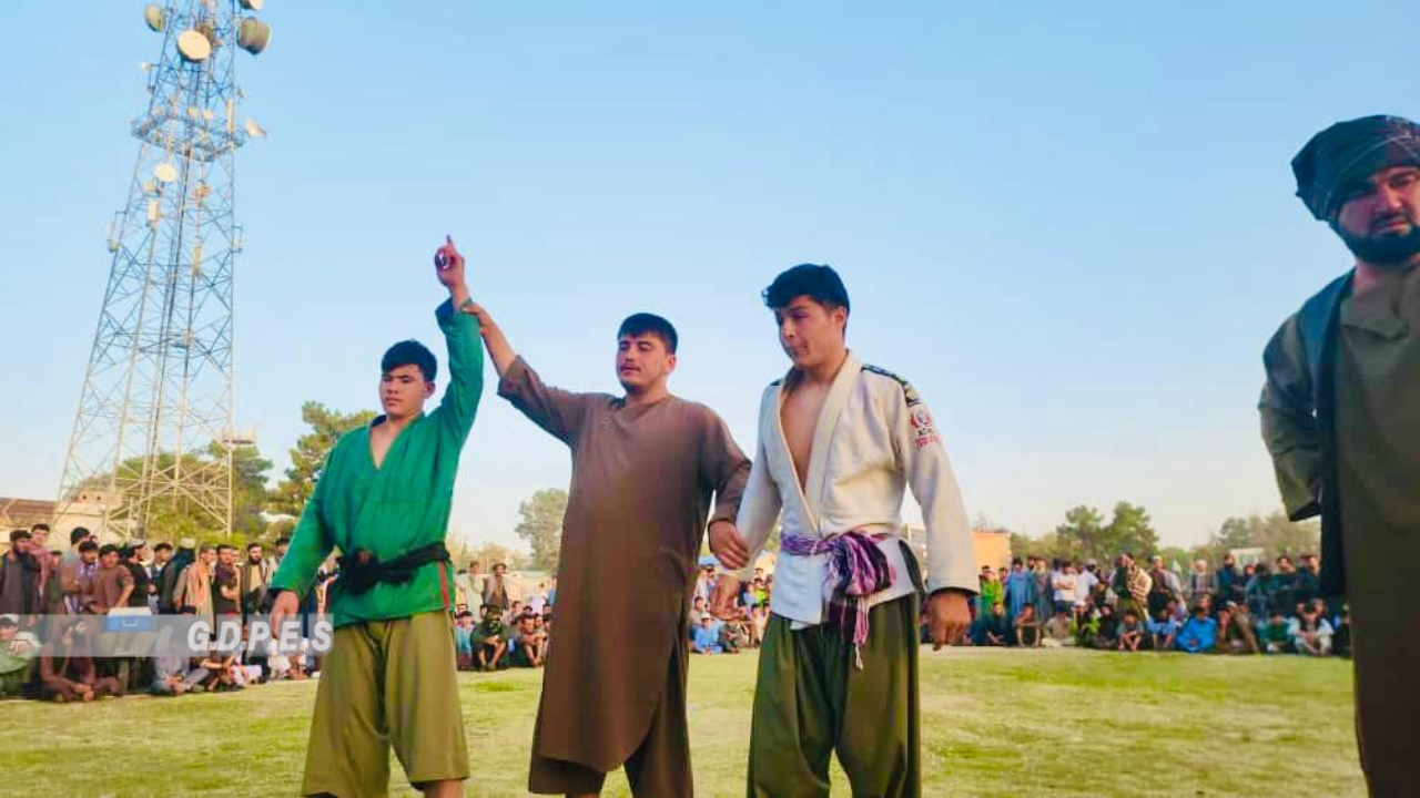 جوزجان؛ مرکز شبرغان ښار کې د ۶۰ کورشکارانو ترمنځ د کورش سیالۍ ترسره شوې