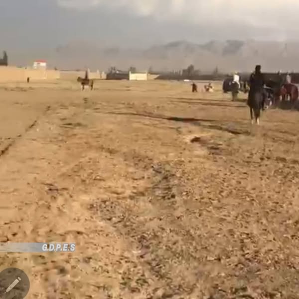 پکتیکا؛ یوسف خېلو ولسوالۍ کې د ۲۵ لوبډلو ترمنځ د نیزه وهنې سیالۍ ترسره شوې