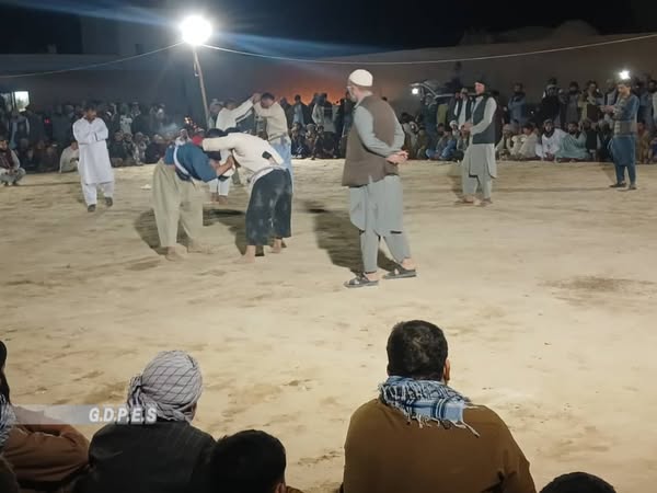 بلخ؛ دولت آباد ولسوالۍ کې د ۸۰ کورشکارانو ترمنځ د کورش سیمه ییزې سیالۍ ترسره شوې