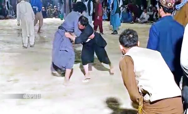 بلخ؛ دولت آباد ولسوالۍ کې د ۷۰ کورشکارانو ترمنځ د کورش سیالۍ ترسره شوې