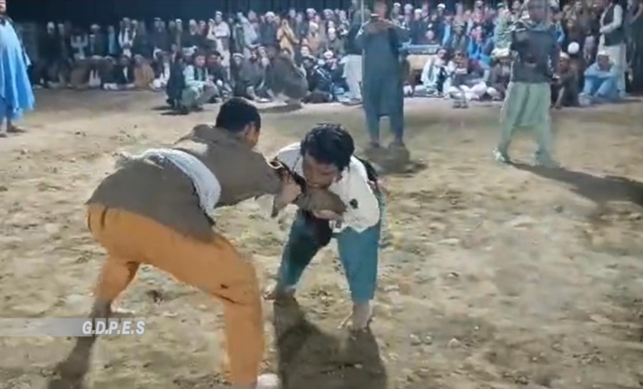 بلخ؛ چهاربولک ولسوالۍ کې د ۷۰ کورشکارانو ترمنځ  د کورش سیالۍ ترسره شوې