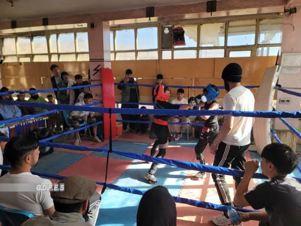 برگزاری مسابقات کیک بکسینگ در بامیان