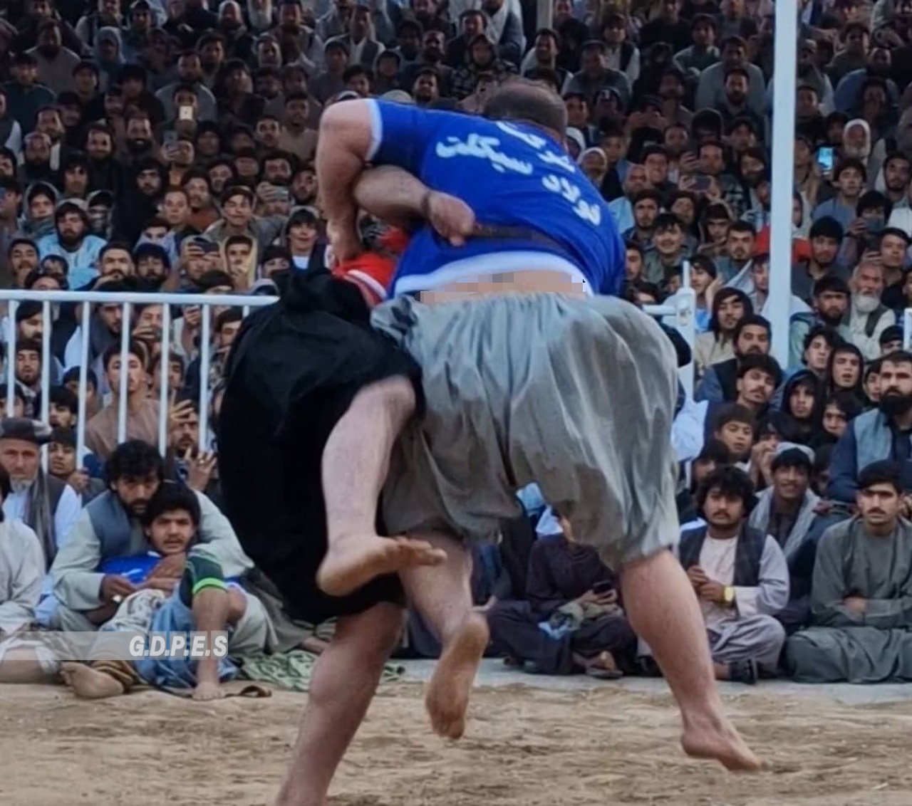 مسابقات انتخابی کشتی محلی با اشتراک ۵۰۰ پهلوان در هرات برگزار پایان یافت