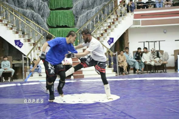 هرات؛ پنجمین دور مسابقات هنرهای رزمی پانکریشن با اشتراک ۹۰ ورزشکار برگزار شد