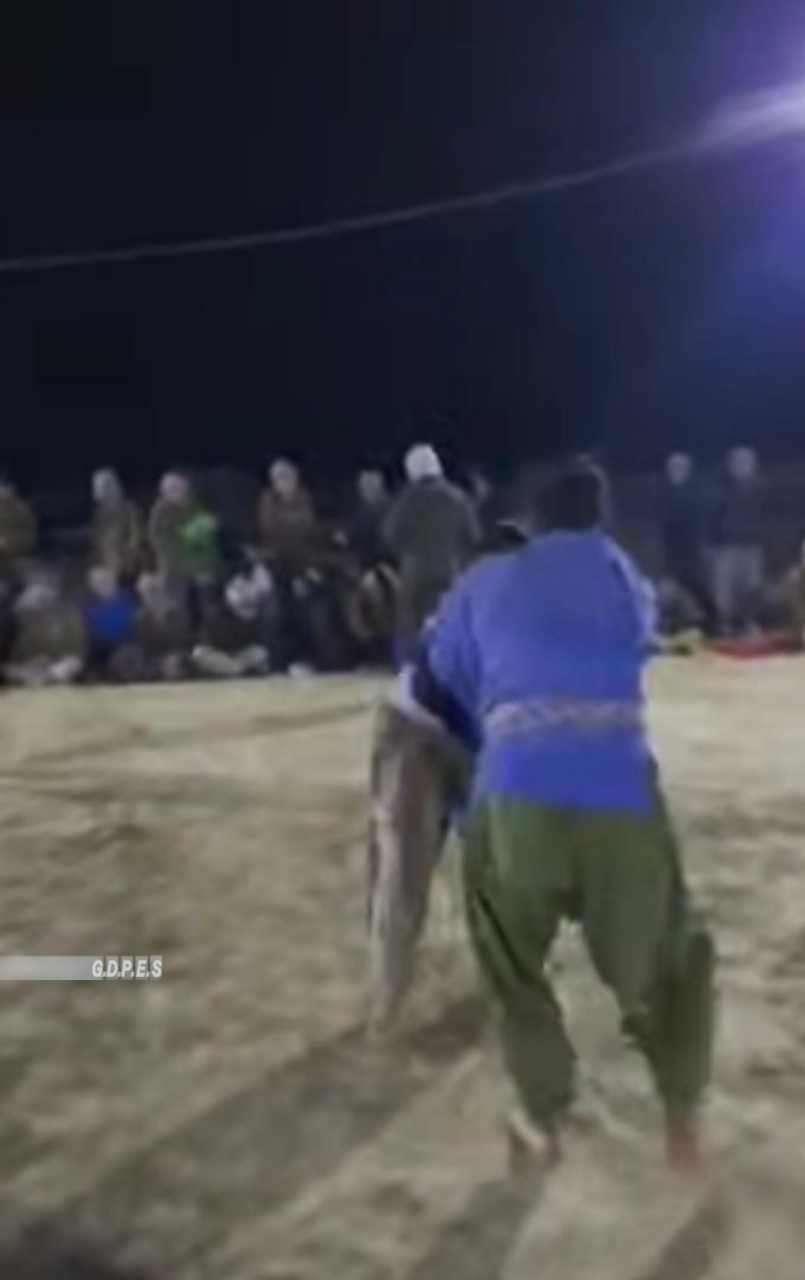 بلخ؛ دولت اباد ولسوالۍ کې د ۶۰ کورشکارانو ترمنځ د کورش سیالۍ وشوې