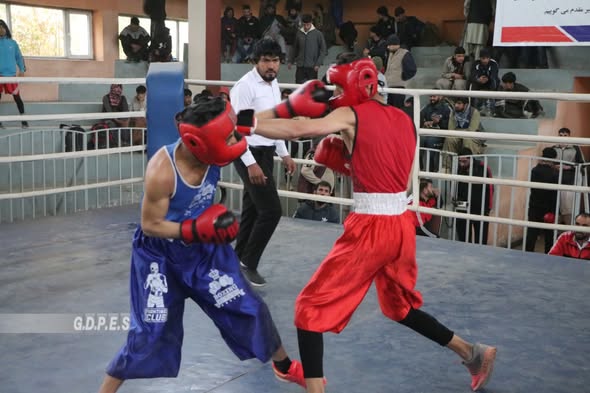 کابل؛ مسابقات انتخابی بوکسینگ جوانان شهر کابل آغاز گردید