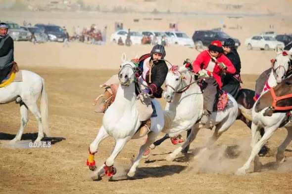 سرپل؛ رقابت های بزکشی با اشتراک ۵۰ چاپنداز در شهر این ولایت برگزار شد