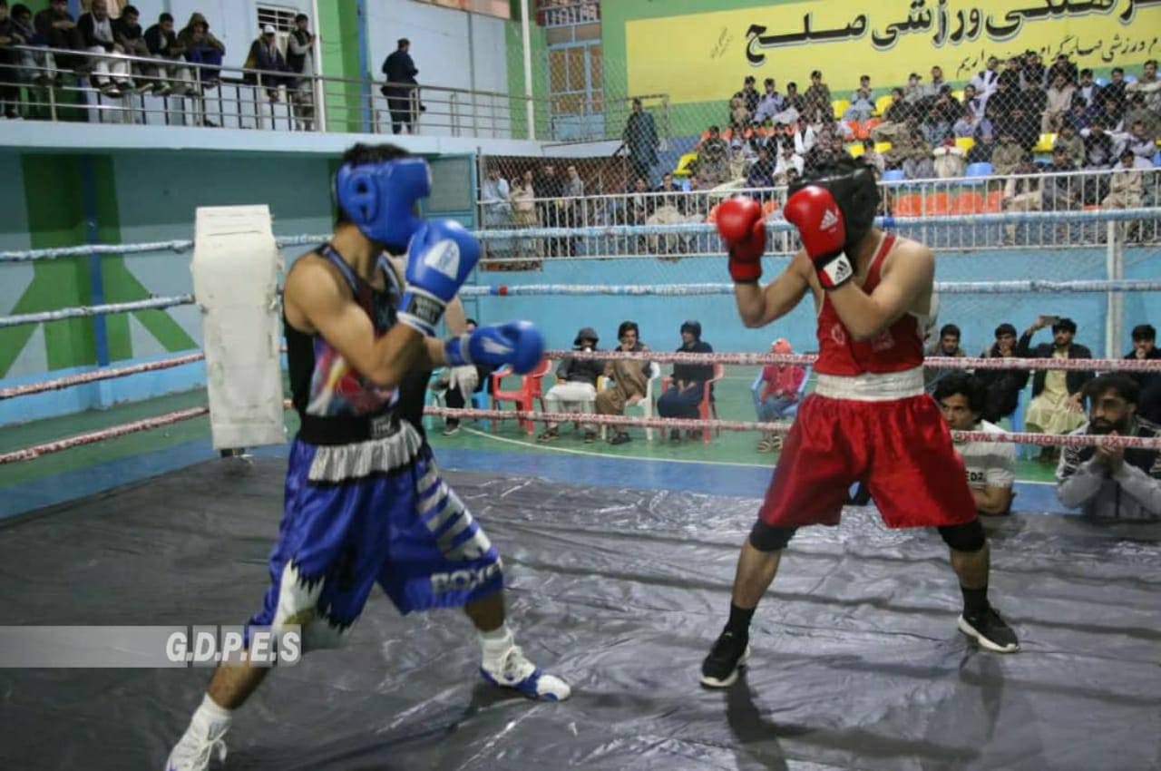 هرات؛ مسابقات مشت زنی تحت نام جام شهید ضیاءالحق ضیاء میان ۷۰ ورزشکار برگزار شد