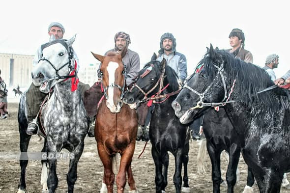 بلخ ؛ برگزاری رقابت‌های بزکشی میان ۵۰ چاپنداز در شهر مزار شريف