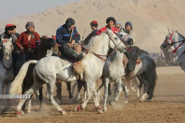 سمنگان؛ رقابت های بزکشی با اشتراک ۶۰ چاپنداز در شهر ایبک برگزار شد