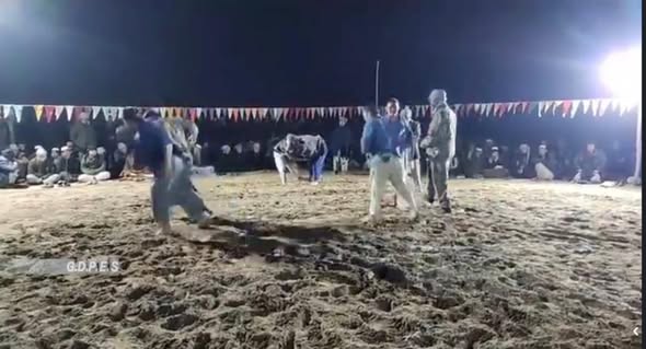 بلخ؛ په شورتپه ولسوالۍ کې د ۱۰۰ پهلوانانو ترمنځ د کورش سیمه ییزې سیالۍ وشوې