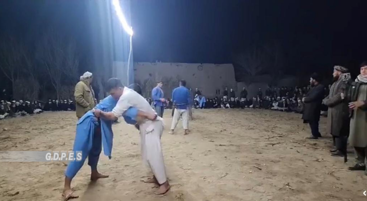 بلخ؛ شور تپې ولسوالۍ کې د ۹۰ کورشکارانو ترمنځ د کورش سیالۍ ترسره شوې