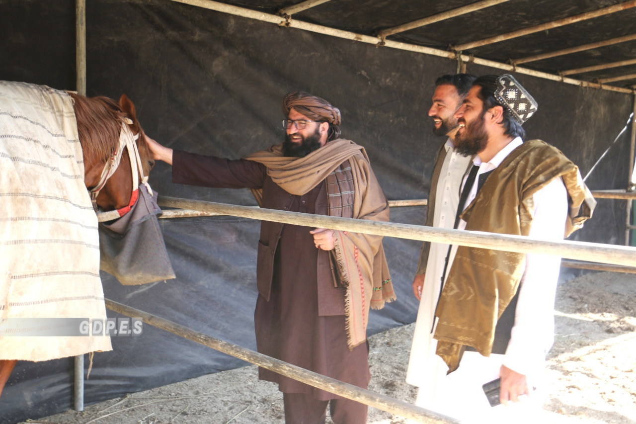 د هېواد ورزش ادارې عمومي رییس د بزکشۍ له لوبغالي لیدنه وکړه