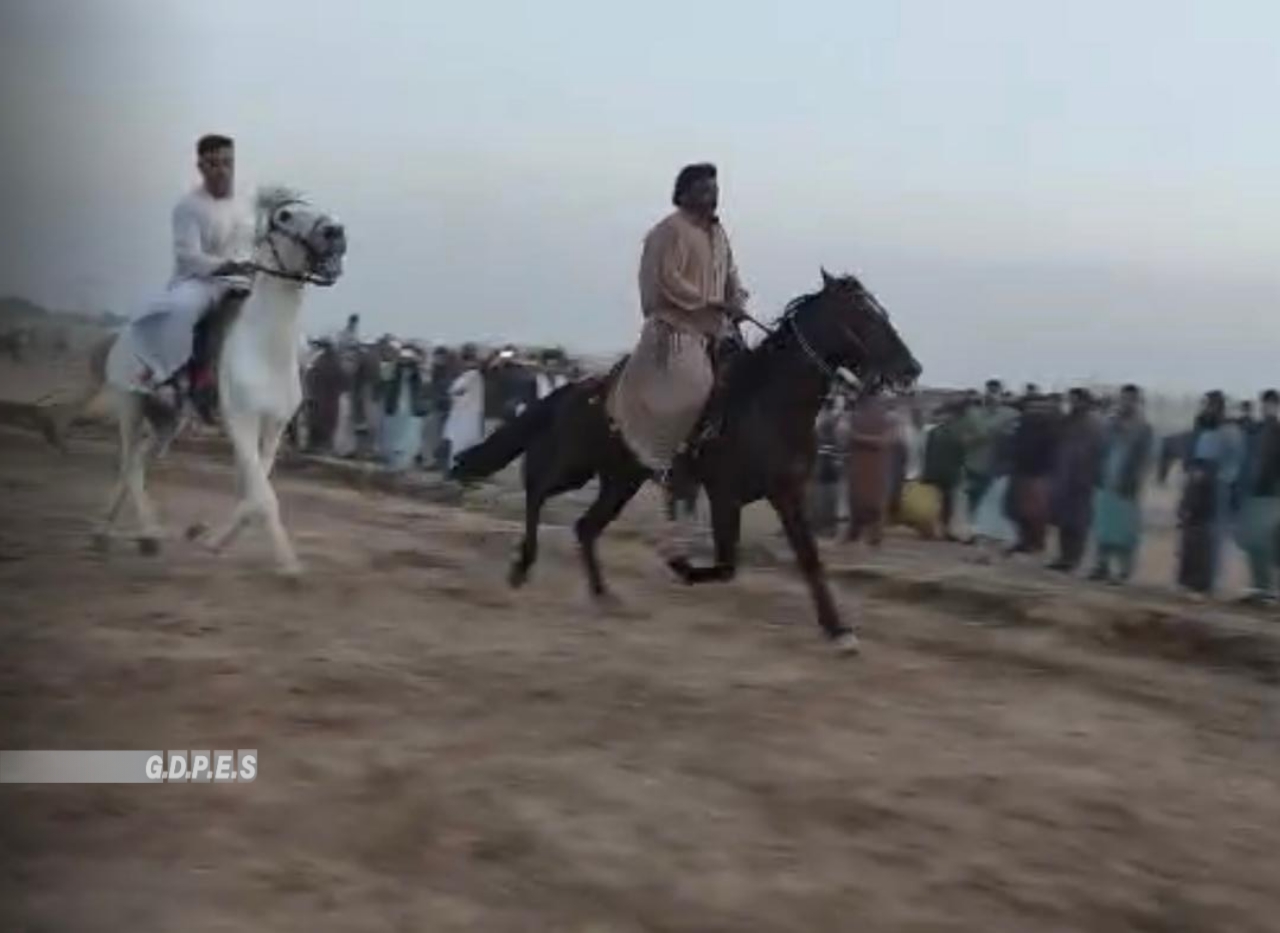هرات؛ مسابقات اسب سواری با اشتراک ۳۰ ورزشکار در ولایت هرات برگزار گردید