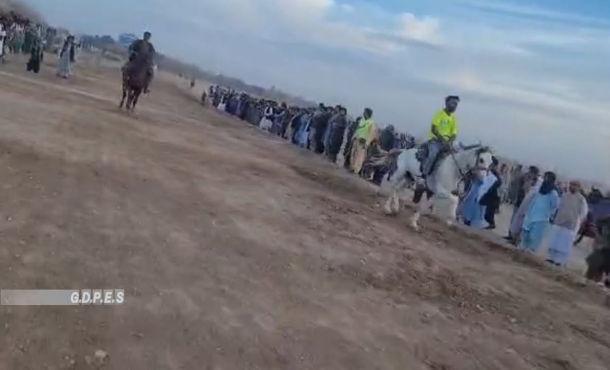 د هرات مرکز کې د ۳۰ اس ځغلوونکو ترمنځ د اس ځغلوونې سیالۍ وشوې