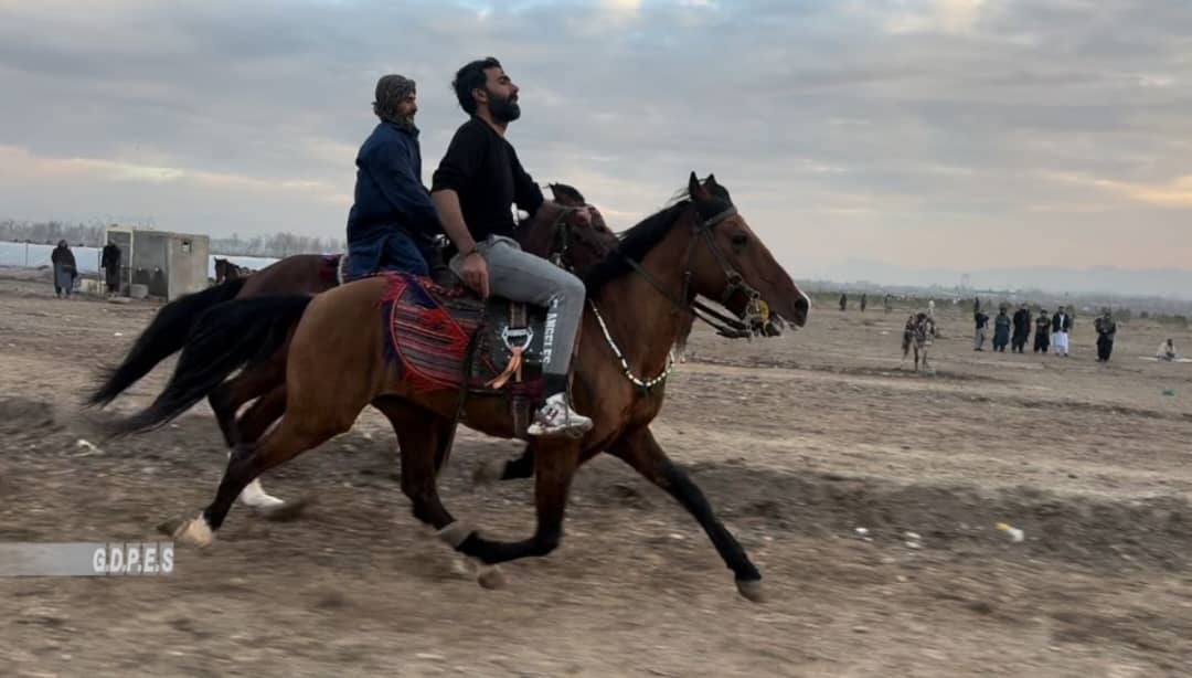هرات؛ مسابقات دوستانه اسب سواری در ولسوالی پشتون زرغون برگزار شد