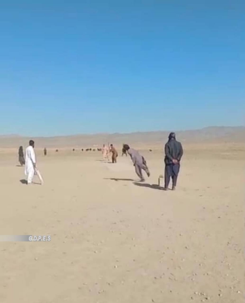 پکتیکا؛ رقابت‌های تیپ‌بال کرکت میان ۲۰ تیم در ولسوالی متاخان به پایان رسید