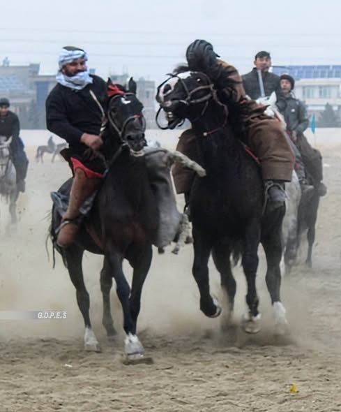 بلخ ؛ برگزاری رقابت‌های بزکشی میان ۵۰ چاپنداز در شهر مزار شريف