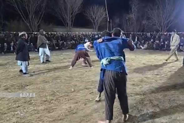 بلخ؛ شورتپې ولسوالۍ کې د ۹۰ کورشکارانو ترمنځ د کورش سیمه ییزې سیالۍ ترسره شوې