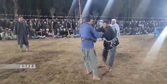 بلخ ؛ شورتپه ولسوالۍ کې د ۱۳۰ کورشکارانو ترمنځ د کورش سيالۍ ترسره شوې