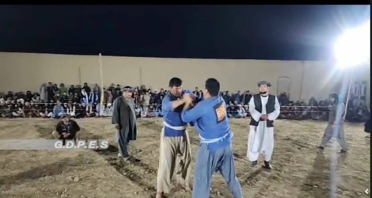 بلخ؛ چهار بولک ولسوالۍ د ۱۱۰ کورشکارانو ترمنځ د کورش سيالۍ ترسره شوې